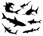 Vector silhouettes of sharks