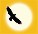 Silhouette of flying eagle on sun background
