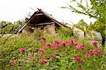 Abandoned village. Crumbling buildings and old garden residue.