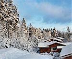 Log cabin houses in snowy winter forest scenery