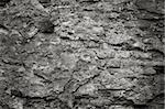 Detail of an old cracked cement wall texture, monochrome image