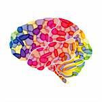 human brain, colorful thoughts, vector abstract background