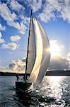 Sailing yacht in the action with sun back lit