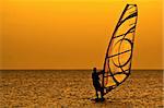Silhouette of a windsurfer in the evening sea