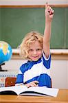 Portrait of a schoolboy raising his hand in a classroom