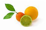 Group of citrus fruits as orange, lime and mandarin isolated on white background