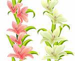 Vertical seamless patterns made of lilies on white background