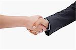 Close up of a handshake against a white background