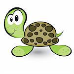 Cartoon gay turtle. Illustration on white background for design