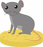 Gray mouse sitting on the piece of cheese