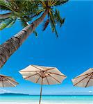 white parasols on a tropical beach