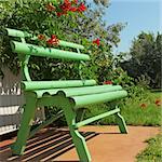 Green wooden bench in the courtyard among the shrubs and trees