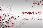 Happy New Year Card with Chinese & English text