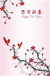 Beautiful background of Chinese New Year greeting card