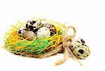 Colourful easter eggs in a nest on a white background.