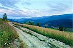 Dirty road through the evening flowering grassland in mountain