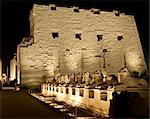 Ancient egyptian temple of Karnak in Luxor lit up at night during the sound and light show