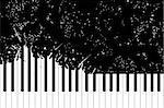 Vector piano keyboard on black background (illustration)