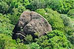 rock in the jungle in the form of elephant. Bird's-eye view.