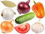 Set of fresh spicees and vegetables. Isolated on white background. Close-up. Studio photography.