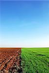 plowed and green field background