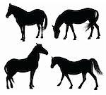 Detailed horse silhouettes collection 7000x6329. Vector eps8