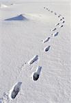 Human footprints in deep snow on sunny day