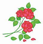 Flowers, rose bouquet, love symbol, floral gift. Vector