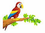 Vector Illustration Of Macaw Bird Isolated
