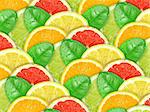 Abstract background with motley citrus-fruit slices and green leaf with dew for your design. Close-up. Studio photography.