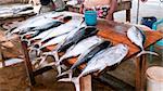 Stand with the fish market, Negombo, Sri Lanka