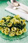 Italian Regional dish with pasta and turnip tops on green glass table