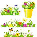 Green Grass With Flowers Set, Isolated On White Background, Vector Illustration