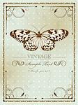 Vintage card with butterfly