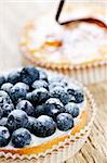 Closeup of fancy gourmet fresh fruit dessert tarts