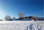 A clear winter's day tracks in the snow