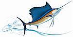 Sailfish jumping out of water. Realistic vector illustration.