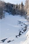 Image of wonderful winter forest with frozen stream