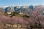 Historic Guadalest village surrounded by a winter landscape with blooming almond trees