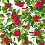 Beautiful seamless background with red roses and green leafs.