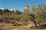 Parcent, Costa Blanca, Spain, Mediterranean village surrounded by olive trees