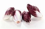 four red chicory on a light background