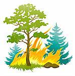 wildfire disaster with burning forest tree and firtrees vector illustration isolated on white background EPS10. Transparent objects used for shadows and lights drawing