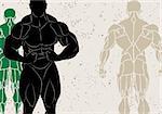 vector illustration of a strong man silhouette