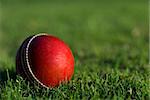 A red cricket ball on green grass background