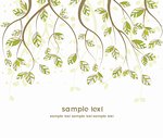 branches with leaves on white background