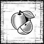 Retro apple with a slice on wooden background. Black and white vector illustration in woodcut style.