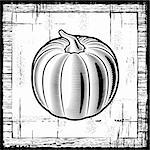 Retro pumpkin on wooden background. Black and white vector illustration in woodcut style.