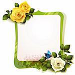 Mirror with roses and butterfly on white