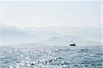 Boat, near Paraty, Rio de Janeiro, Brazil